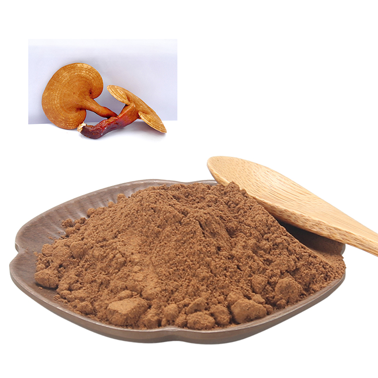 How Long Does It Take for Reishi Extract Powder to Work?